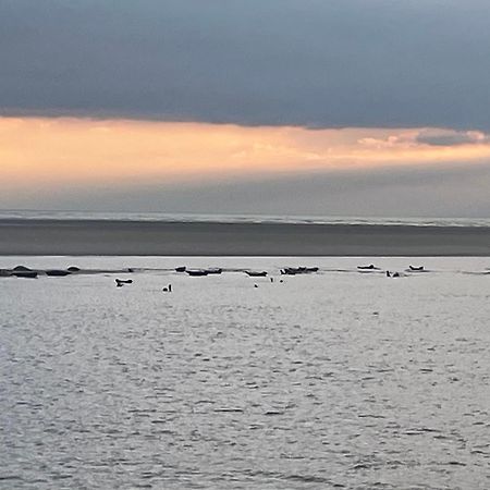 Gite Chti Picard Parking Prive Gratuit Et 100M De La Plage Berck Exteriör bild